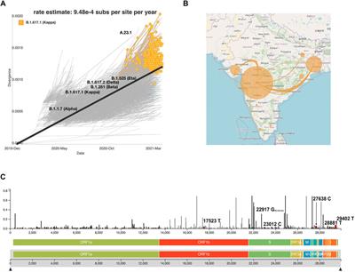 Geographical Landscape and Transmission Dynamics of SARS-CoV-2 Variants Across India: A Longitudinal Perspective